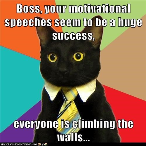 Boss, your motivational speeches seem to be a huge success,  everyone is climbing the walls...