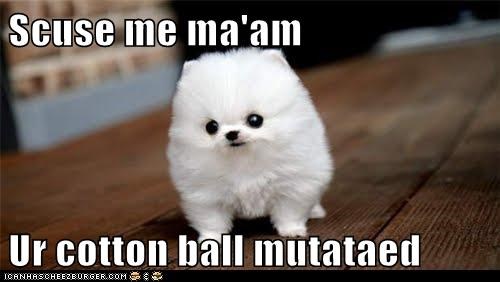 Mutant Cotton-ball 