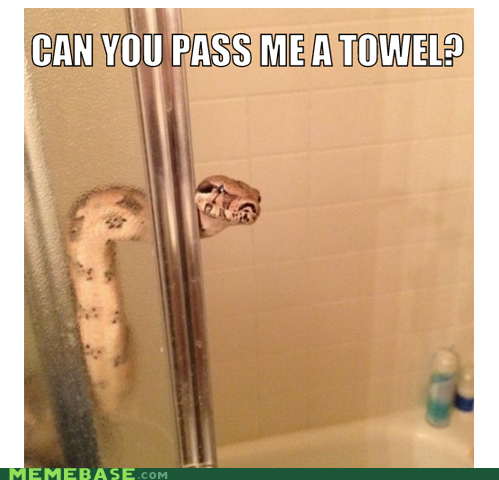 BRB, Never Showering Again