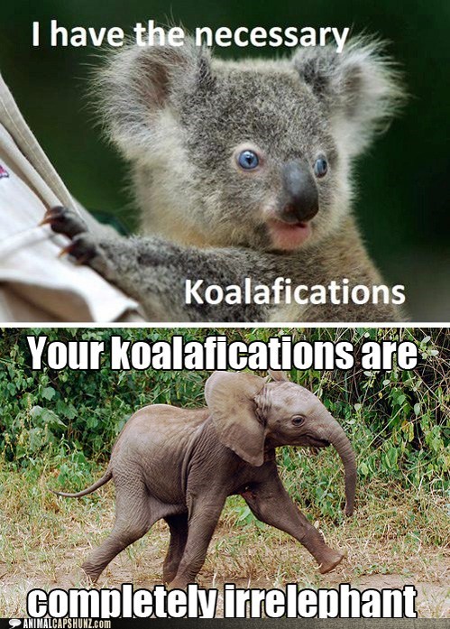 Koalafications? Ha!