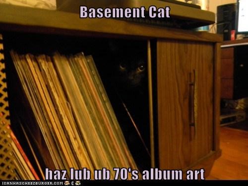 Basement Cat 