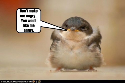 Animal Capshunz: I Seriously Grow to TWICE This Size