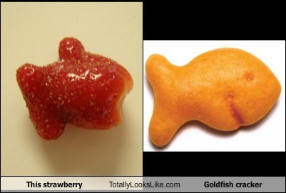 This Strawberry Totally Looks Like Goldfish Cracker