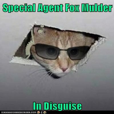Special Agent Fox Mulder  In Disguise