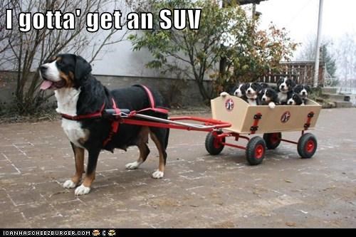 I gotta' get an SUV