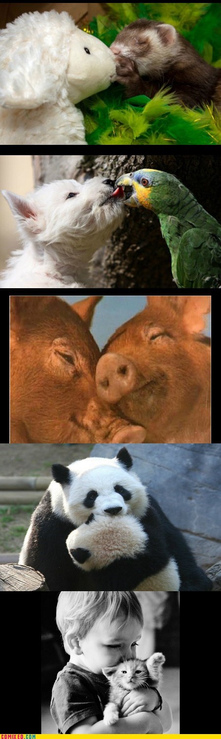 Animal Kisses