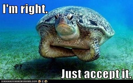 Animal Capshunz: Bow to the Sea Turtle