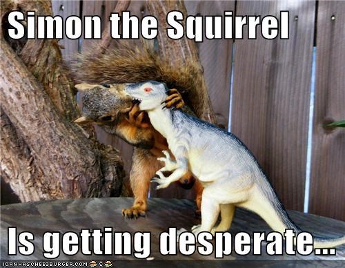 Resorts to Squirrel Version of a Blow Up Doll