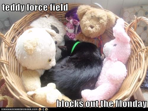 teddy force field  blocks out the Monday