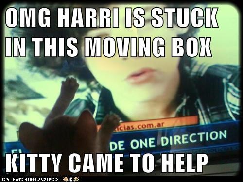 OMG HARRI IS STUCK