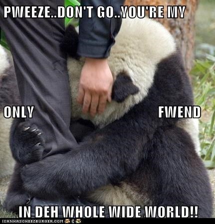 PWEEZE..DON'T GO..YOU'RE MY ONLY                                         FWEND IN DEH WHOLE WIDE WORLD!!