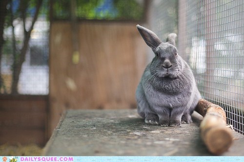 Bunday: You May Retrieve the Stick