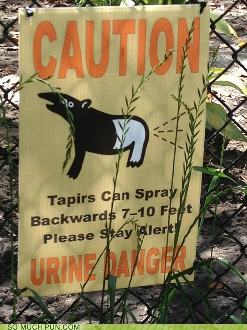 Great Warning Sign, or THE GREATEST Warning Sign?