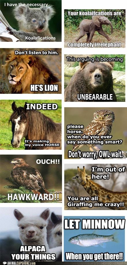 Animal Capshunz: A Wild Fight