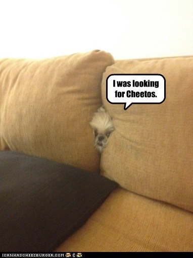 Couch Diving 