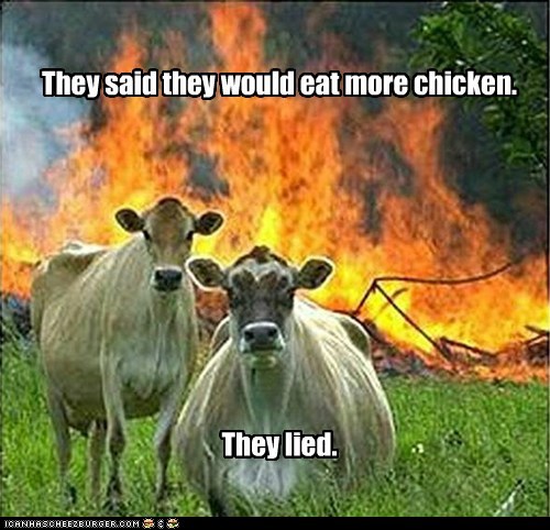 Evil Cows: Don't Say We Didn't Warn You