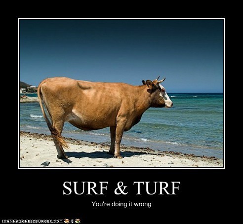 Animal Capshunz: I Don't Even Have a Board