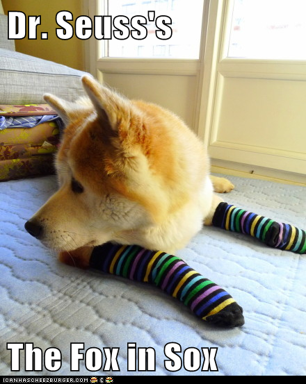 Fox in Sox