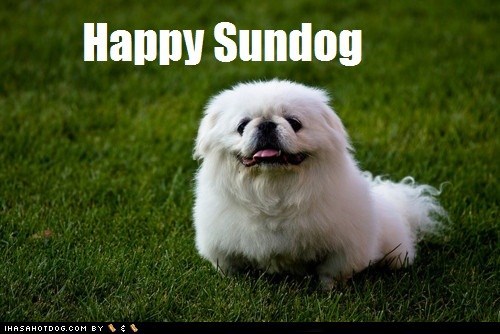 Happy Sundog! 