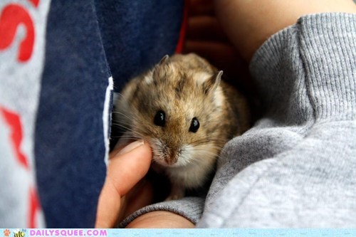 Reader Squees: Schnuggle Up