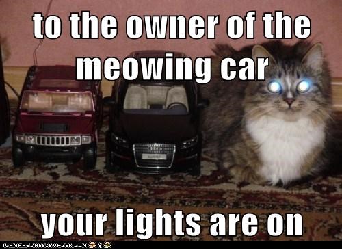 to the owner of the meowing car  