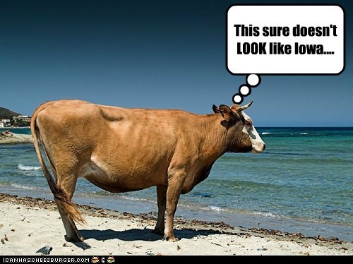 Unless They Mooved