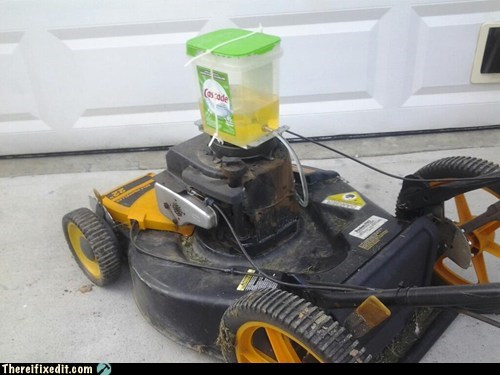Squeaky Clean Grass