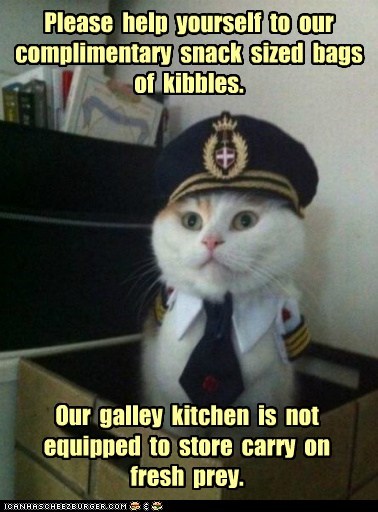 Animal Memes: Captain Kitteh - And We've Had to Discontinue the Bits