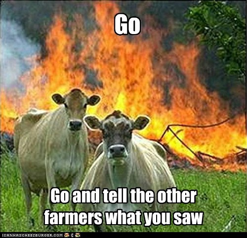 Animal Memes: Evil Cows - Tell Them to Expect Us