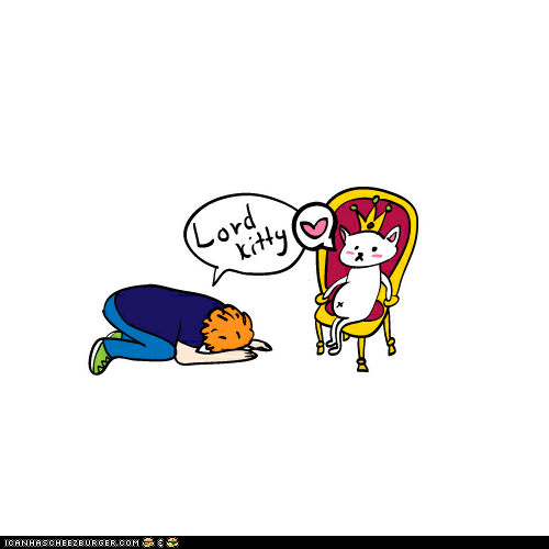 Meanwhile, in My Cat's Head