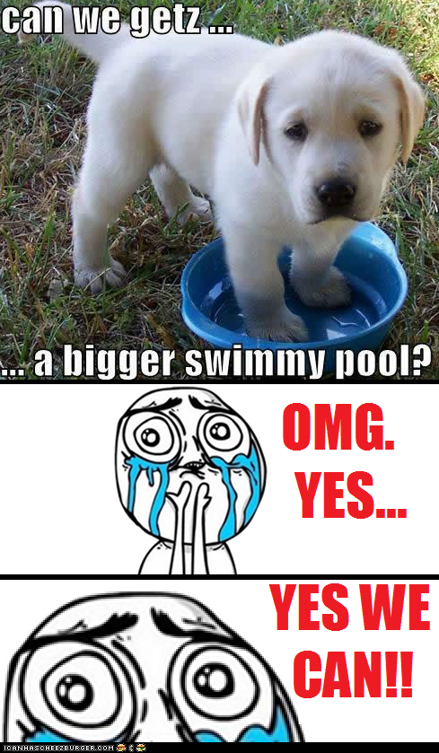 Memebase: Do You Want It Olympic-Sized?  With a Waterfall?  And a Slide?  ANYTHING YOU WANT!