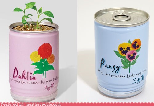 Flowers In a Can