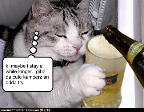 purrley 4 medicinal purrpozzez: Kamp Kuppykakes Cownzellerz Strezz Reducshun Plan B