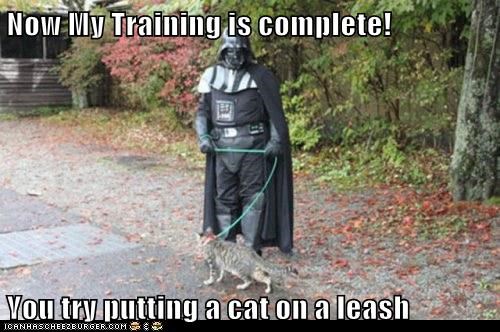 Now I Am the Master