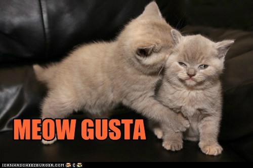 MEOW GUSTA
