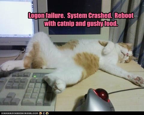 New password is: spoilkitteh.