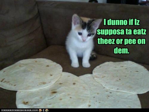 Maybeez I uze twoz of dem for each ting.