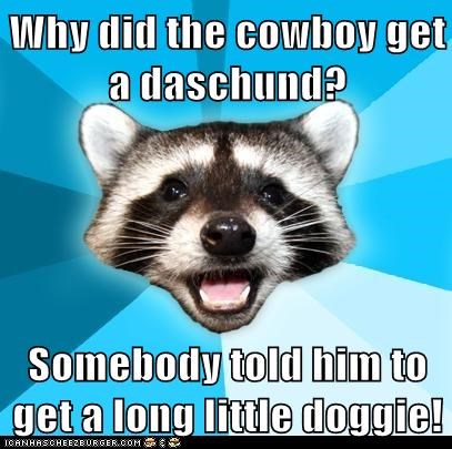 Animal Memes: Lame Pun Coon - He Was Kind Of a Wiener