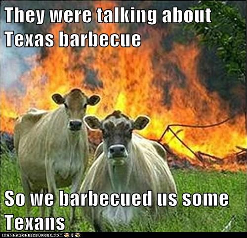Animal Memes: Evil Cows - Sounded Like a Good Idea