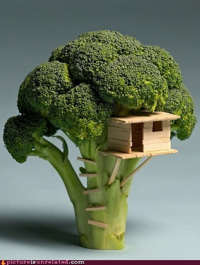 Broccoli Tree House 