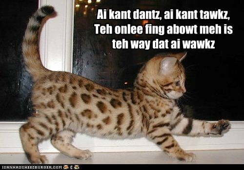 Teh Kitteh According To Genesis (I can't dance)