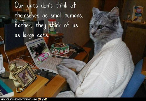 Fun Cat Facts #99