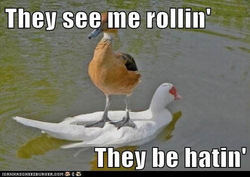 More Like Floatin' and Quackin'
