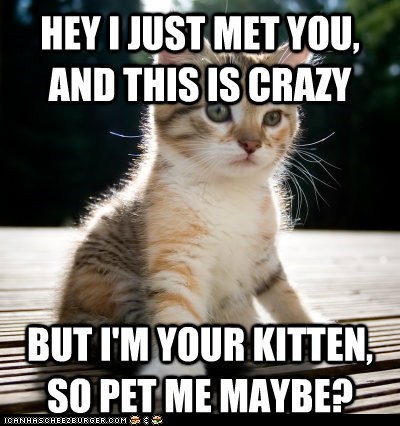 Call Me, Kitty?