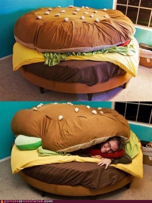 You Can Has Cheezburger Dreams