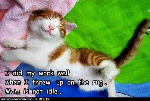 Happy Kitteh Haiku