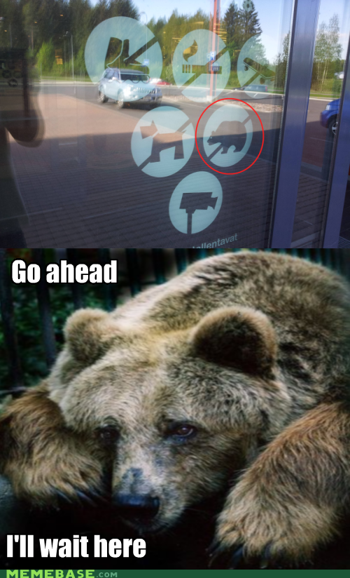 I Can Bearly Believe This!