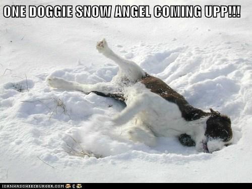 Snow Angel 
