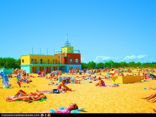 Sandy Yellow Tan
