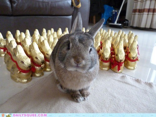 Bunday: Army of Bun-buns! 